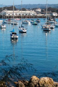monterey harbor